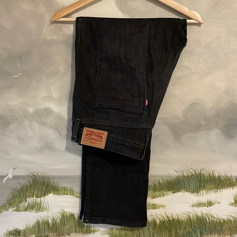 Levi’s Mid-Rise Skinny Cropped Jeans- Size 12 W31